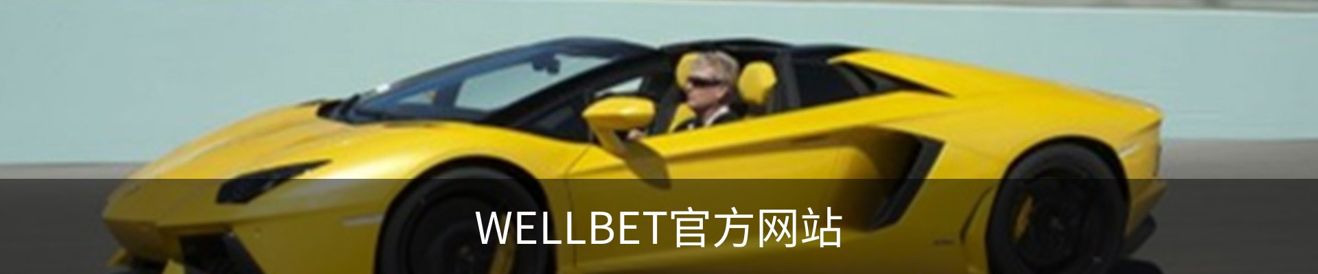 WELLBET - 官方网站